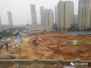 武汉江夏最新爆料,揭秘武汉江夏区最新动态与热点事件  第2张