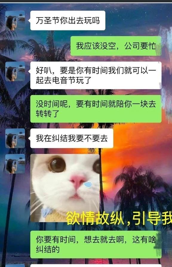 胖猫最新爆料视频,揭秘娱乐圈惊人内幕！  第3张